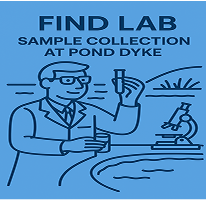 Lab